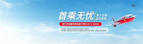 “扬子江航空”正式更名“金鹏航空” _民航_资讯_航空圈