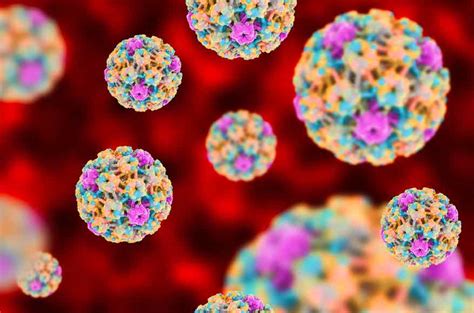 厦门大学：杂合病毒样颗粒“加盟” 宫颈癌疫苗有望预防200种HPV – 肽度TIMEDOO