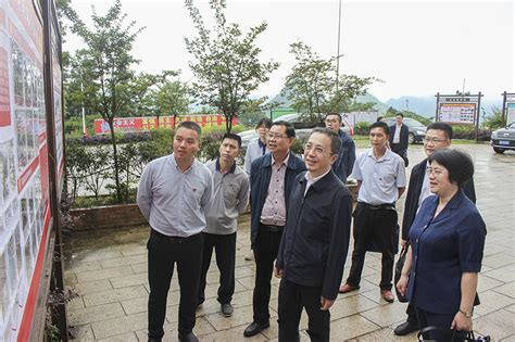 恭城：县长杨征山带队开展土地综合整治和有关工作调研-桂林生活网新闻中心
