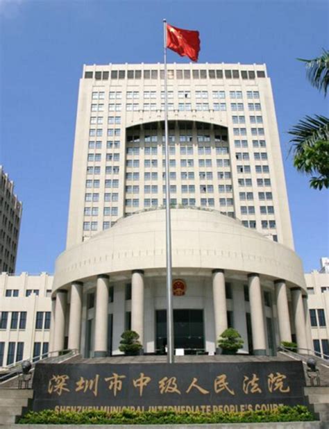 深圳市中级人民法院-龙城城市运营服务集团有限公司