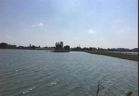 安徽省合肥市肥东县76亩坑塘水面出租- 聚土网