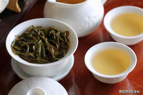 目前最常见的栽培型普洱茶有几种？每种普洱茶口感如何？_茶园