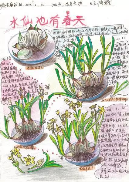 植物自然笔记,优秀的自然,绿萝自然_大山谷图库