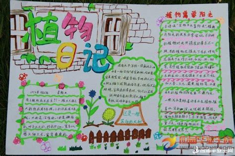 小学生描写植物的作文300字10篇Word模板下载_编号qjmdxvgd_熊猫办公
