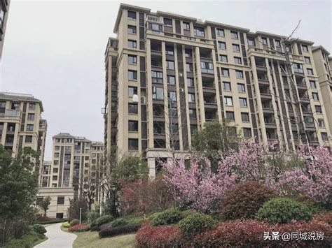 上海浦东新区房价（上海房价是多少） - 生活 - 布条百科