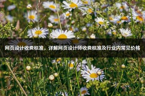 收费标准- 产品计费-网站监测-百川云文档
