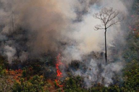 航拍亚马逊雨林大火肆虐 专家分析起火原因-航拍网