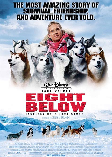 南极大冒险(Eight Below)-电影-腾讯视频