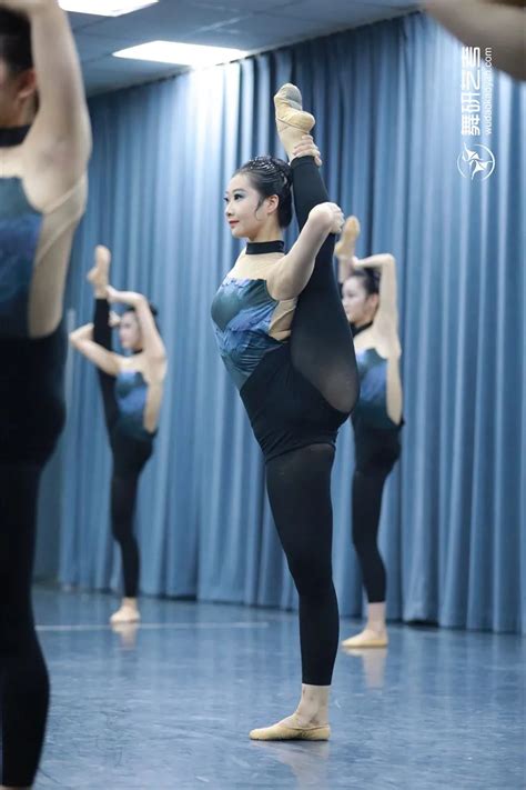 舞研艺考舞蹈艺考课程介绍：针对舞蹈艺考开设全面舞蹈艺考课程_2024舞蹈艺考最新资讯-舞蹈艺考培训就在舞研艺考！
