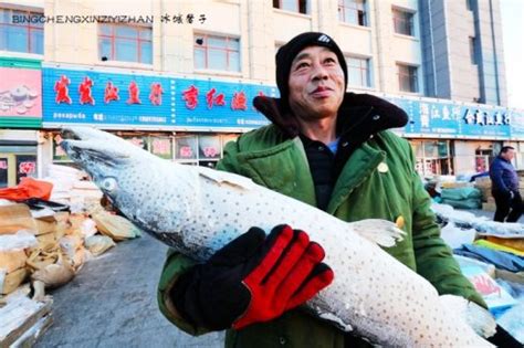 同江年货鱼市见闻--实拍黑龙江畔最大的中俄江鱼市场|同江|鱼市|鱼_新浪新闻