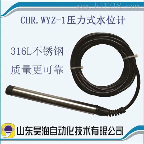CHR.WYZ-1型压力式水位计_水位计_维库仪器仪表网