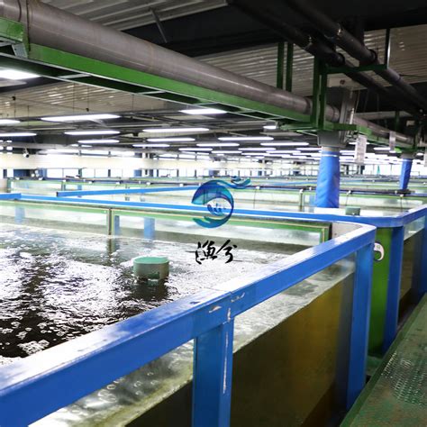 双层立体式循环水养殖系统、室内循环水养殖设计、工厂化水产养殖-阿里巴巴