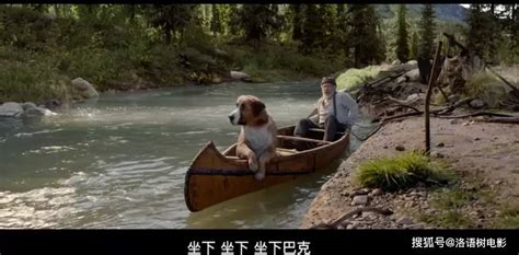 剧情电影《一条狗的使命2》解说文案/片源下载-678解说文案网