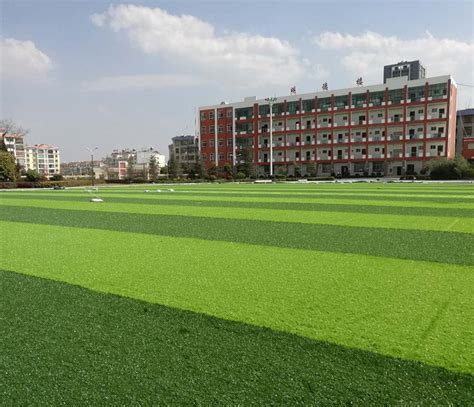 重庆北部新区北方常用护坡草籽有哪些_护坡草坪种子_山东燕兴种业有限公司