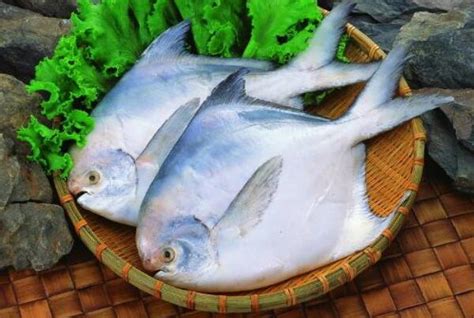 鱼类有哪些种类，常见鱼类名称大全_学厨网