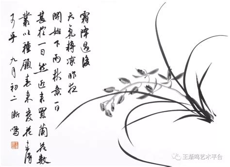 诗词——兰花，描写“兰花”的绝美诗句的超全合集