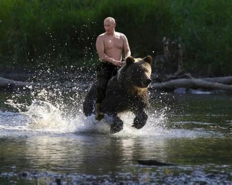 俄罗斯，熊！|熊|俄罗斯_新浪新闻