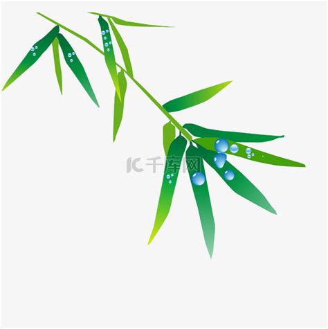 竹子水滴植物素材图片免费下载-千库网