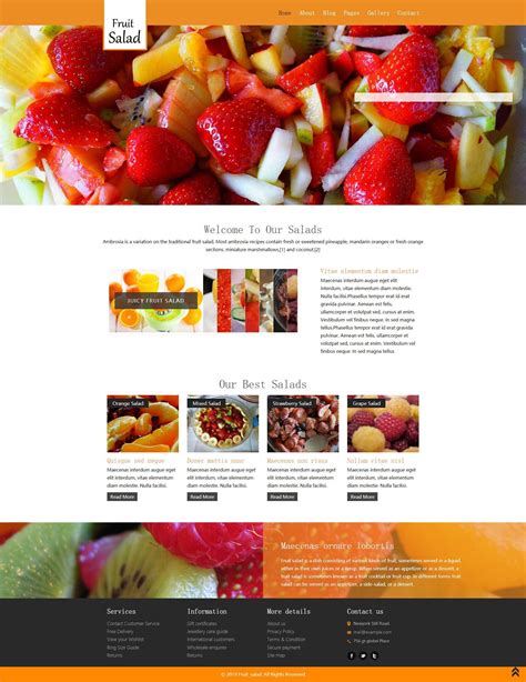 大气的html水果沙拉食品类网站模板_墨鱼部落格