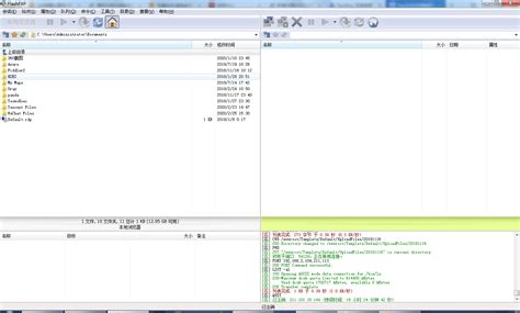 Maxprog FTP Disk下载 - Maxprog FTP Disk FTP软件 1.4.4 中文注册版 - 微当下载