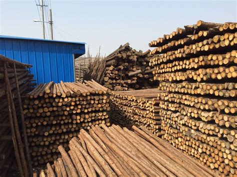 沪兴木业工程方木铁杉价格表杉木建筑木方各种规格定制