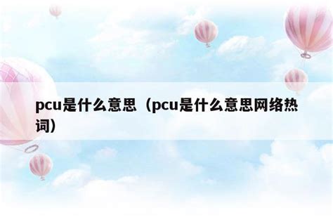 pcu是什么意思(pcu是什么意思的缩写)-海诗网