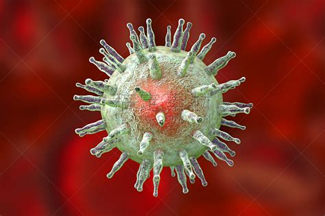eb病毒,单纯疱疹病毒,糖蛋白,淋巴瘤,疱疹,水平画幅,小的,微生物学,无人,科学图片素材下载-稿定素材