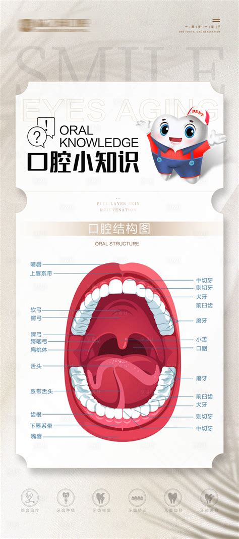 C4DR17制作牙科三维医美口腔健康立体模型3D资源下载-C4D库