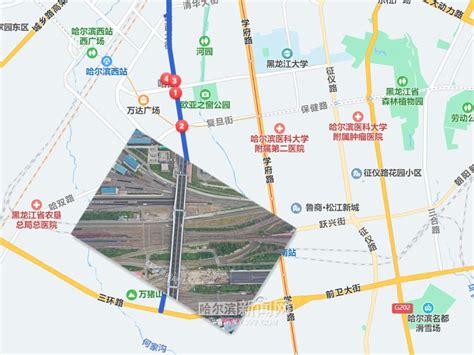 哈西辣妈图片