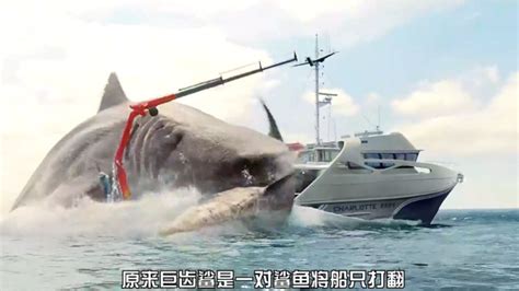 巨齿鲨3：史前巨鲨一跃而起，掀翻轮船，席卷沙滩_高清1080P在线观看平台_腾讯视频
