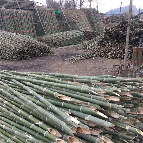 常年批发 竹梢 毛竹 竹尾农业用 菜架竹 竹竿等竹制品欢迎洽购-阿里巴巴