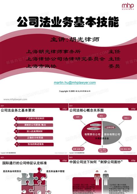 公司法业务基本技能(上海律师协会培训课程)PPT模板下载_编号qkjyrdpg_熊猫办公