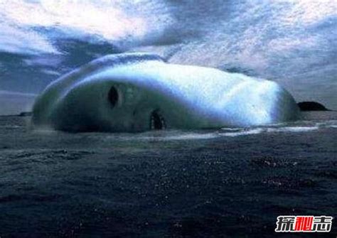 南极怪物ningen真相，实则日本科学家秘密制造的新物种_探秘志
