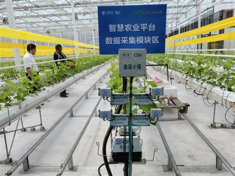 移动云服务“乡村振兴”：山东寿光蔬菜产业迈入数字化时代-爱云资讯