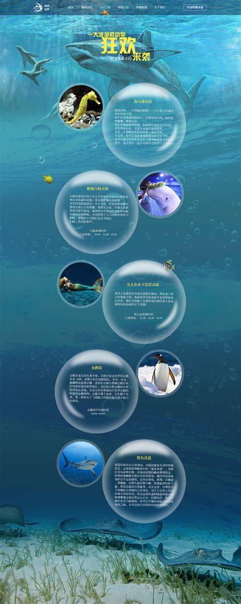 网页设计-海底世界|网页|企业官网|是木易杨啊 - 原创作品 - 站酷 (ZCOOL)