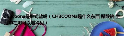 ch3coona是酸式盐吗（CH3COONa是什么东西 醋酸钠 生活中在哪可以看得见）_新时代发展网