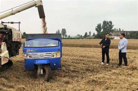 麦收季遇“烂场雨”天气 河南多举措抢收小麦凤凰网河南_凤凰网