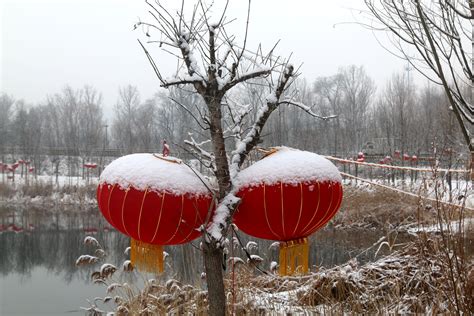 正月十五雪打灯 雪中灯笼更添景-大河新闻
