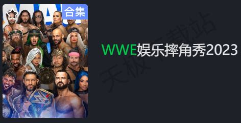 WWE计划2020游戏下载,WWE计划2020游戏中文汉化版 v1.0-游戏鸟手游网