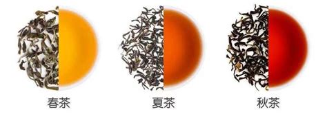 茶叶与四季：“春夏秋冬”茶如何选？- 茶文化网