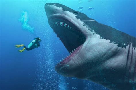 日本深海拍到了巨齿鲨：巨齿鲨或从未灭绝(谣言)_奇趣解密网
