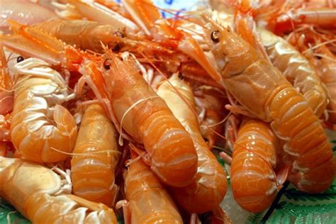 虾子不能和什么食物同吃 虾的搭配禁忌 - 汽车时代网
