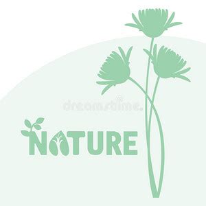 四叶草的花语是什么？四叶草的寓意和象征-种植技术-中国花木网