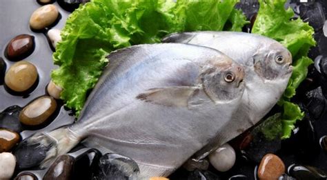 想吃鱼了！世界首例“无刺”鲫鱼在黑龙江诞生