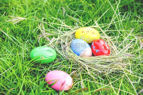 复活节鸡蛋在户外绿色草地上猎在草地上狂犬鸡蛋在草地上举行彩色蛋装饰的节日活动高清图片下载-正版图片305843245-摄图网