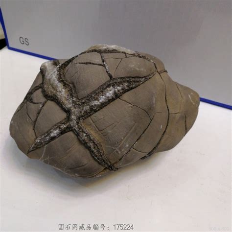 千年神龟 - 石馆 - 国石网