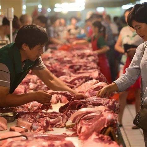 2021年中国禽肉和猪肉进口量正在减少_生产_养殖_供应量