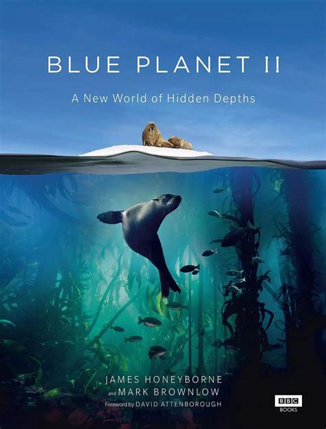 BBC最美纪录片: 原来, 我们对大海一无所知!|海象|鱼|海洋_新浪新闻