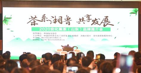2020安化黑茶（山东）品牌推介会在济成功举办-齐鲁晚报·齐鲁壹点