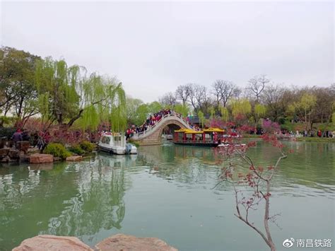 烟花三月下扬州，淋一场烟雨，遇一场花事|二十四桥|琼花|扬州_新浪新闻